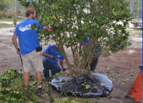 Landscaping Lakeland FL